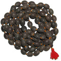 Lotus Seeds Japa mala 108 Seeds